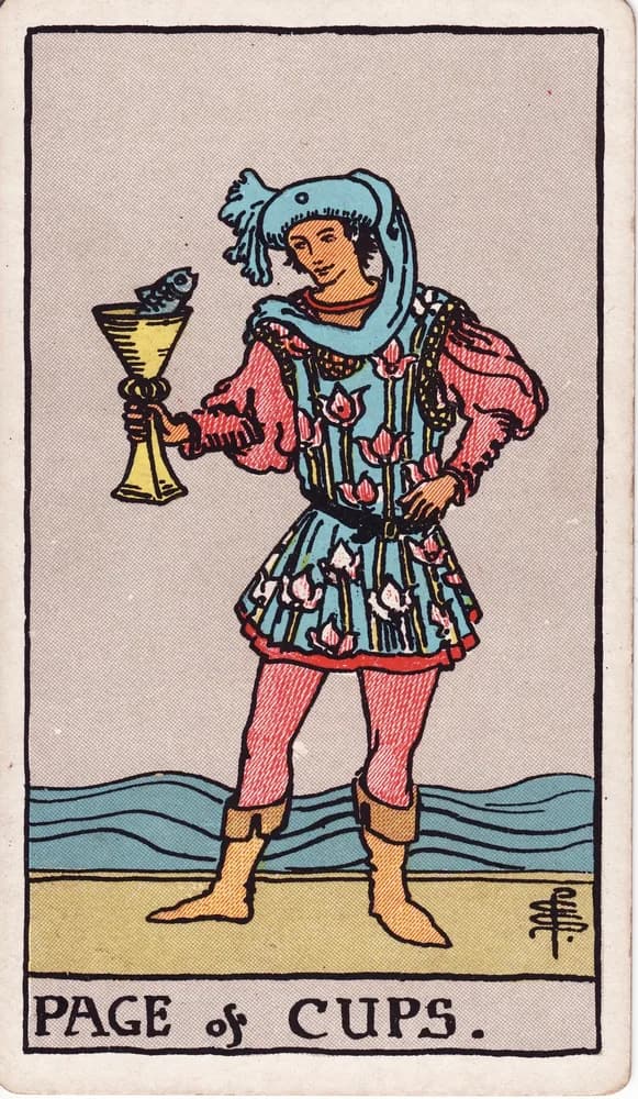 컵 시동 (Page of Cups) — RWS 1909
