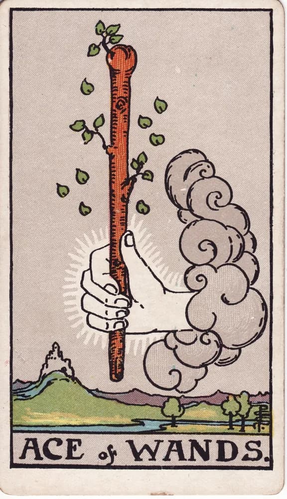 완드 에이스 (Ace of Wands) — RWS 1909