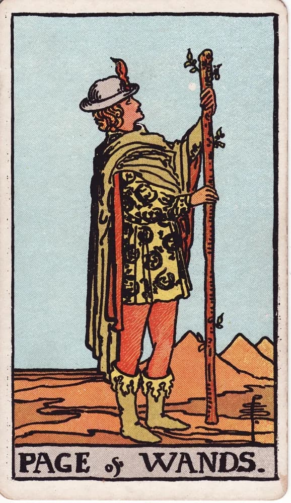 완드 시동 (Page of Wands) — RWS 1909
